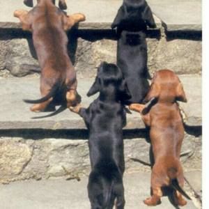 Meet your Posher, Angie